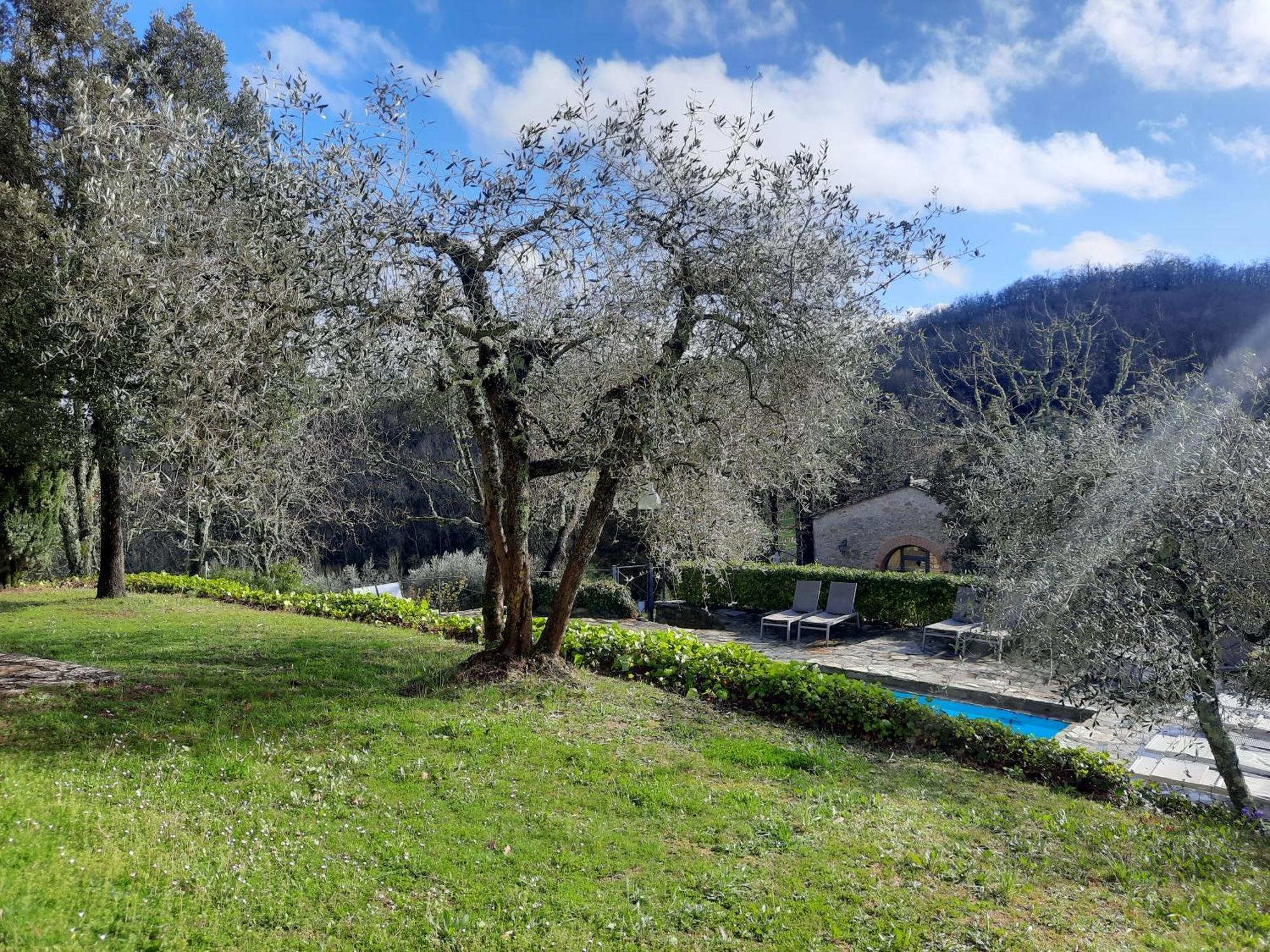 Séjour à la ferme Borgo Livernano Radda in Chianti