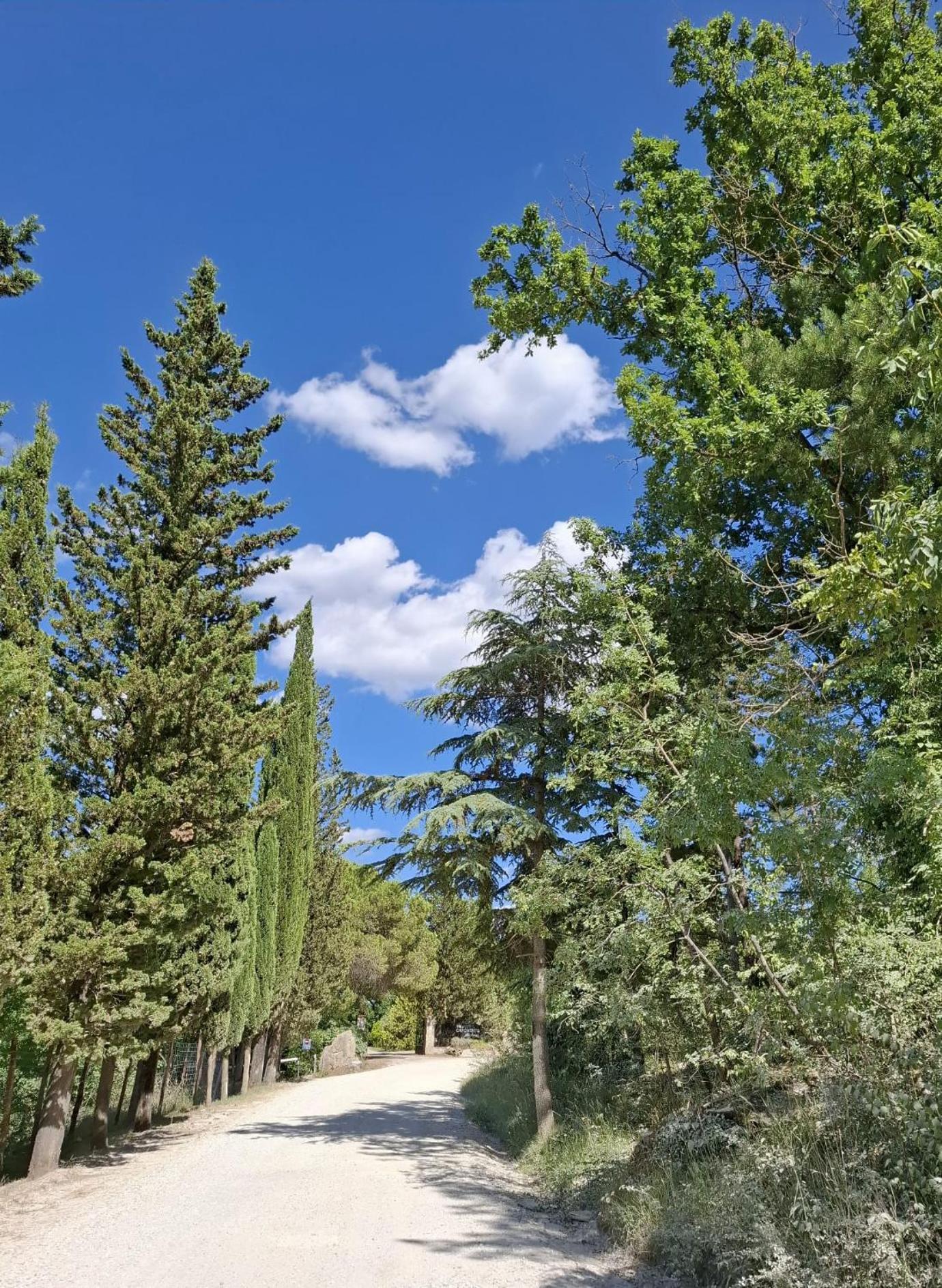 Alloggio per agriturismo Borgo Livernano *